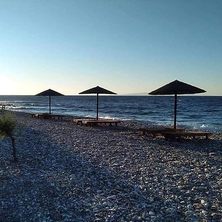 Despoina Seaside Apartment Ágios Konstantínos エクステリア 写真