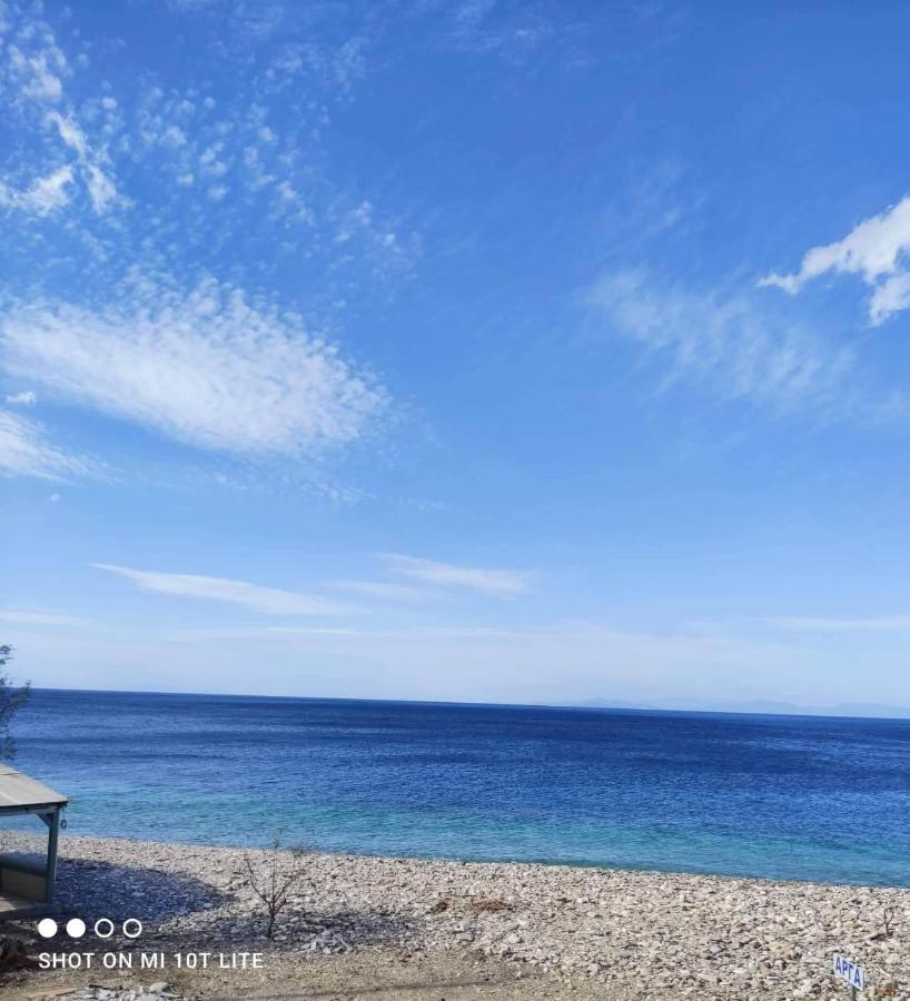Despoina Seaside Apartment Ágios Konstantínos エクステリア 写真