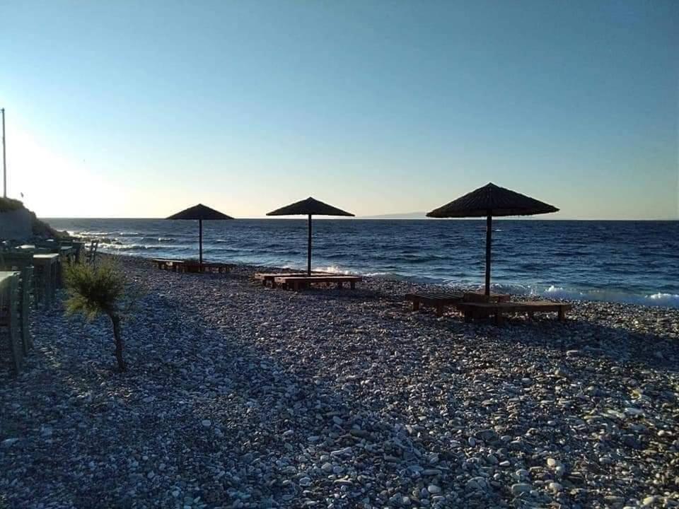 Despoina Seaside Apartment Ágios Konstantínos エクステリア 写真